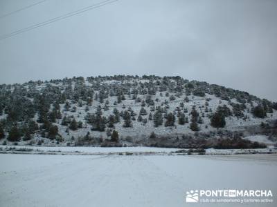 Muriel de la Fuente; Grupos pequeños; excursiones organizadas desde madrid